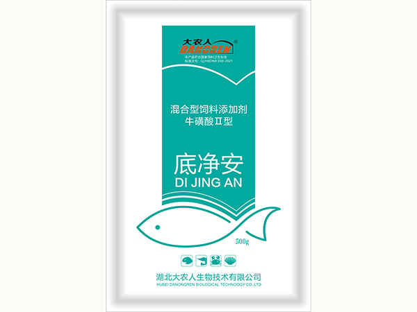 底净安