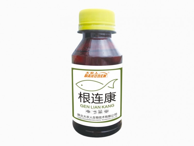 根连康
