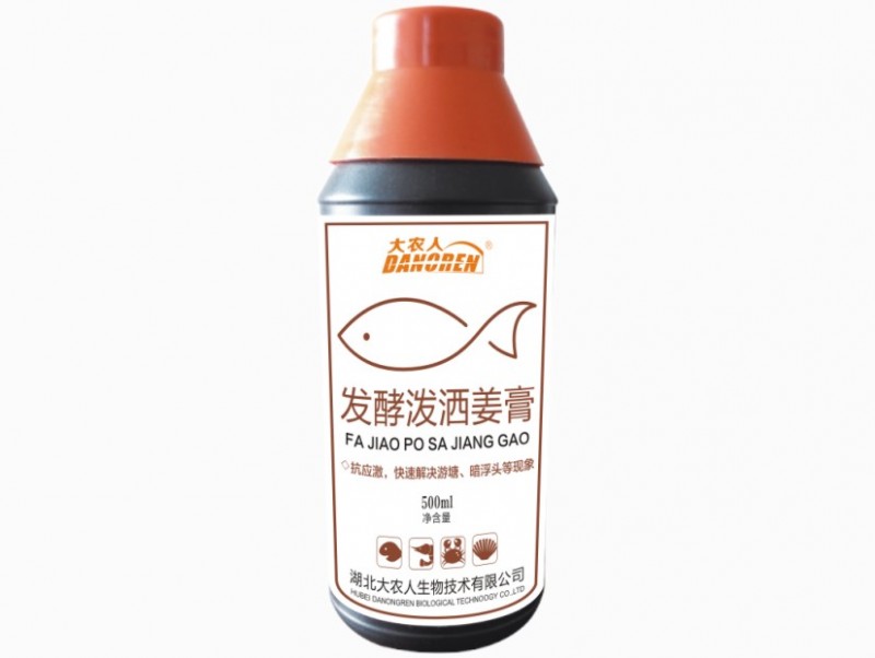 发酵泼洒姜膏