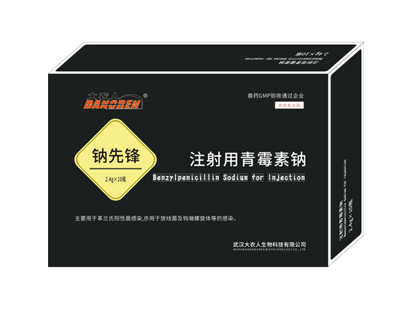 注射用青霉素钠（钠先锋）