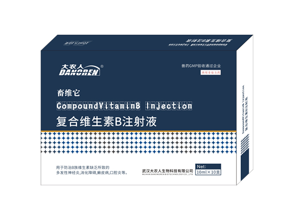 复合维生素B注射液（畜维它）